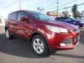 2016 Sunset Metallic Ford Escape SE 4WD  photo #3