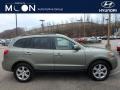 Natural Khaki Green 2007 Hyundai Santa Fe SE 4WD