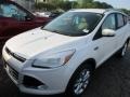 2016 White Platinum Metallic Ford Escape Titanium  photo #2