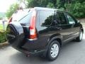 2006 Nighthawk Black Pearl Honda CR-V SE 4WD  photo #4