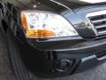 2008 Ebony Black Kia Sorento LX 4x4  photo #6