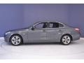 2010 Platinum Grey Metallic BMW 5 Series 528i Sedan  photo #4