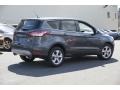 Magnetic Metallic - Escape SE 4WD Photo No. 3