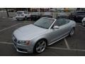 Ice Silver Metallic - S5 3.0 TFSI quattro Cabriolet Photo No. 9