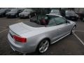 Ice Silver Metallic - S5 3.0 TFSI quattro Cabriolet Photo No. 11