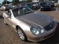 2003 Desert Silver Metallic Mercedes-Benz SL 500 Roadster  photo #15