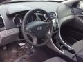 Iridescent Silver Blue Metallic - Sonata GLS Photo No. 9