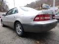 Millennium Silver Metallic - ES 300 Sedan Photo No. 4
