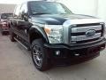 Shadow Black - F250 Super Duty Platinum Crew Cab 4x4 Photo No. 1