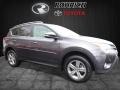 Magnetic Gray Metallic - RAV4 XLE Photo No. 1