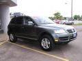 Reed Green Metallic - Touareg V6 Photo No. 3