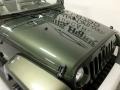 Jeep Green Metallic - Wrangler Unlimited Sahara 4x4 Photo No. 37