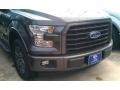 Magnetic - F150 XLT SuperCrew Photo No. 3