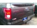 Magnetic - F150 XLT SuperCrew Photo No. 10