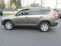 Pyrite Metallic - RAV4 I4 4WD Photo No. 9