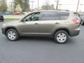 Pyrite Metallic - RAV4 I4 4WD Photo No. 9