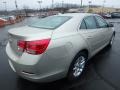 Champagne Silver Metallic - Malibu LT Photo No. 7