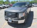 2010 Sterling Grey Metallic Ford F150 XL SuperCrew  photo #11