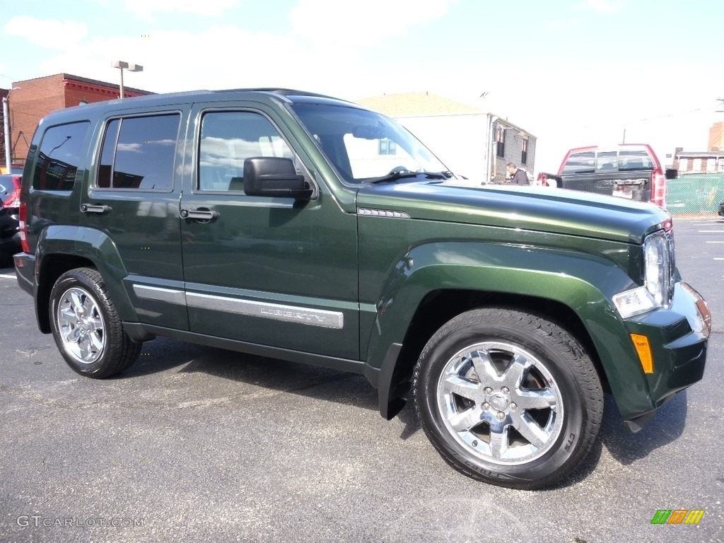 2010 Liberty Limited 4x4 - Natural Green Pearl / Pastel Pebble Beige photo #1