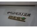 Aspen White - Forester 2.5 X Photo No. 84