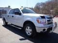 2014 Ingot Silver Ford F150 XLT SuperCrew 4x4  photo #9
