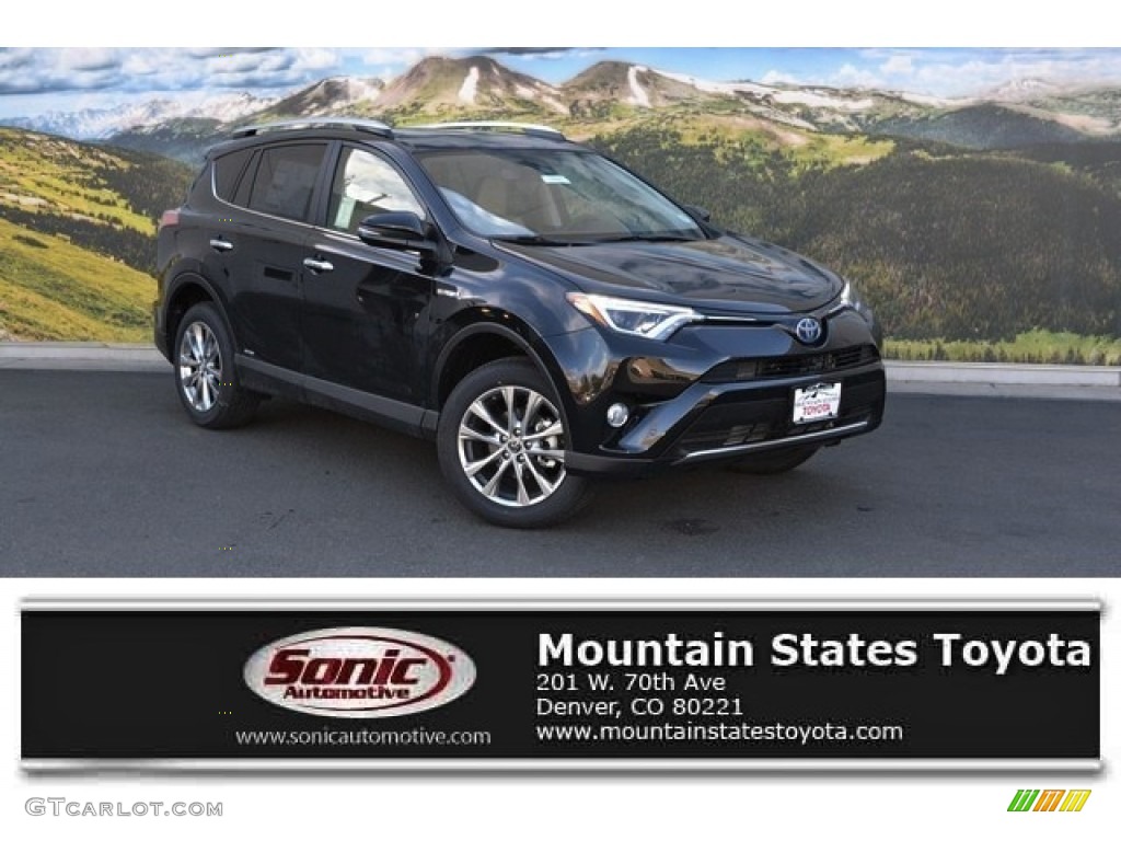 Black Sand Pearl Toyota RAV4