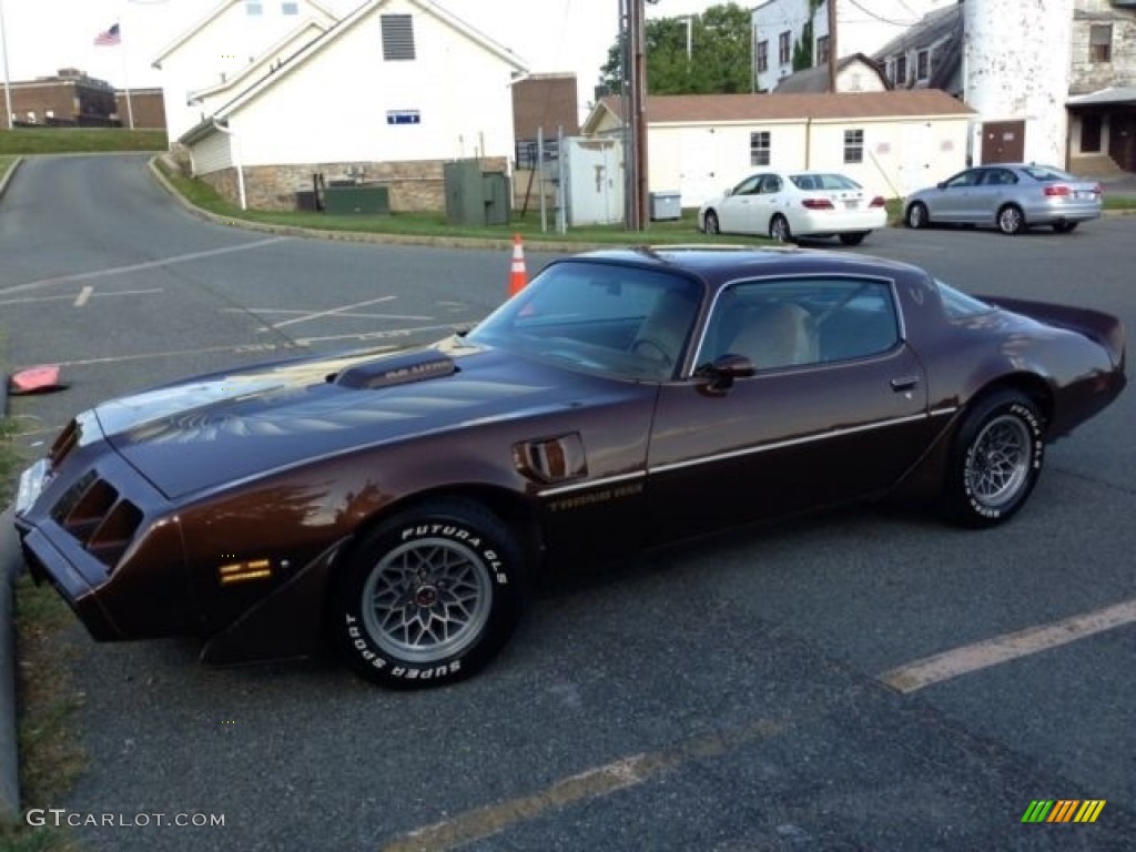 Dark Brown 1979 Pontiac Firebird Trans Am Exterior Photo #112117802