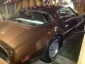 Dark Brown - Firebird Trans Am Photo No. 2