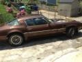 Dark Brown - Firebird Trans Am Photo No. 3