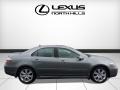 Silver Jade Metallic - RL Technology Photo No. 2