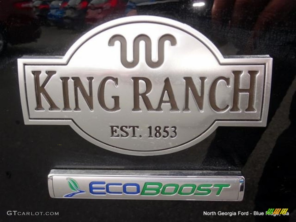 2016 F150 King Ranch SuperCrew 4x4 - Shadow Black / King Ranch Java photo #41