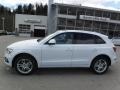 Glacier White Metallic - Q5 2.0 TFSI Premium quattro Photo No. 2