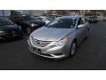Radiant Silver - Sonata GLS Photo No. 3