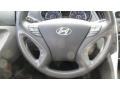 Radiant Silver - Sonata GLS Photo No. 12