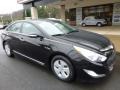 Black Onyx Pearl - Sonata Hybrid Photo No. 7