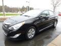 Black Onyx Pearl - Sonata Hybrid Photo No. 9