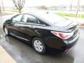 Black Onyx Pearl - Sonata Hybrid Photo No. 11