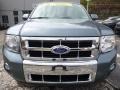 Steel Blue Metallic - Escape Limited V6 4WD Photo No. 8