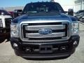 Shadow Black - F350 Super Duty Platinum Crew Cab 4x4 DRW Photo No. 3