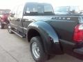 Shadow Black - F350 Super Duty Platinum Crew Cab 4x4 DRW Photo No. 8