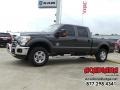 Magnetic - F250 Super Duty XLT Crew Cab 4x4 Photo No. 2