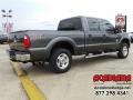 Magnetic - F250 Super Duty XLT Crew Cab 4x4 Photo No. 8