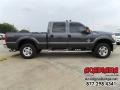 Magnetic - F250 Super Duty XLT Crew Cab 4x4 Photo No. 10