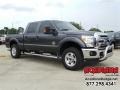 Magnetic - F250 Super Duty XLT Crew Cab 4x4 Photo No. 12