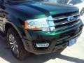 Green Gem Metallic - Expedition XLT Photo No. 3