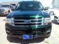 2016 Green Gem Metallic Ford Expedition XLT  photo #6