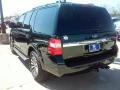 Green Gem Metallic - Expedition XLT Photo No. 8