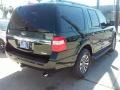 Green Gem Metallic - Expedition XLT Photo No. 9