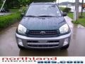 2002 Rainforest Green Pearl Toyota RAV4   photo #6