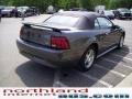 2004 Dark Shadow Grey Metallic Ford Mustang V6 Convertible  photo #4